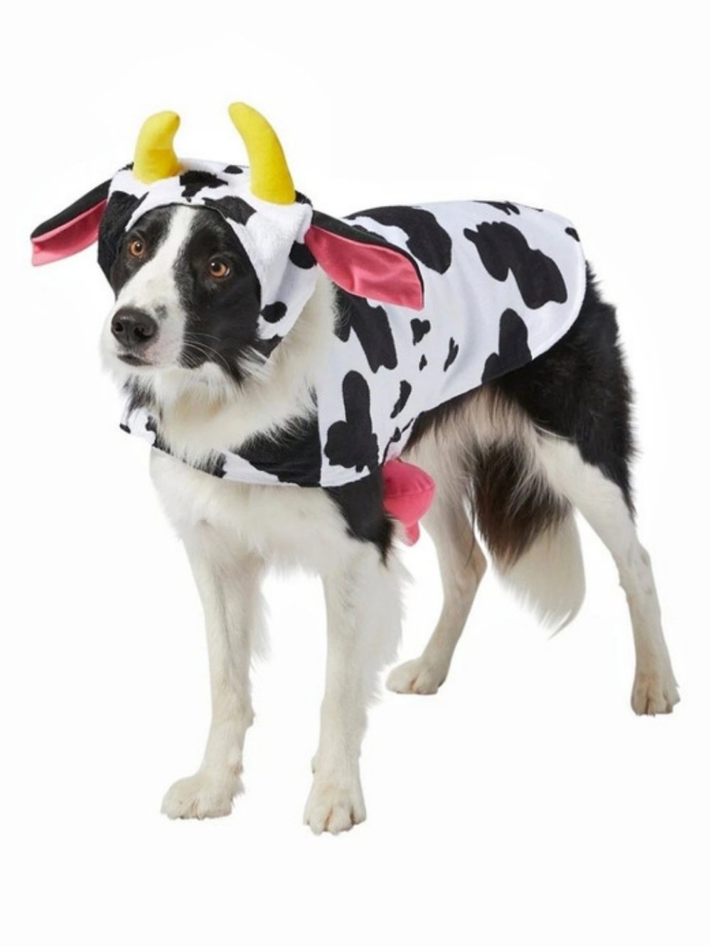 Frisco Happy Cow Dog & Cat Costume White & Black XL
